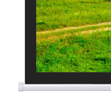 PROJECTA 10102106 300x173 cm Motorlu Gergisiz 16:9 Perde | HepsiProjeksiyon