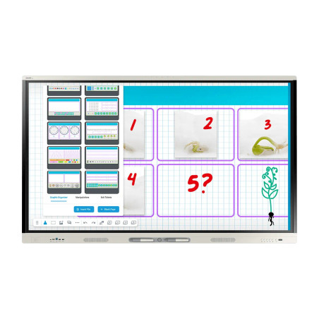SMART Board MX55 (V5) 4K 55" Etkileşimli Eğitim Ekranı | HyPr Touch, iQ Android