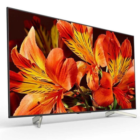 Sony Pro BRAVIA FW-55BZ30L 55" 4K HDR Profesyonel Ekran