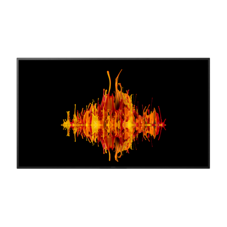 Sony Pro BRAVIA FW-50EZ20L 50" 4K HDR Profesyonel Ekran