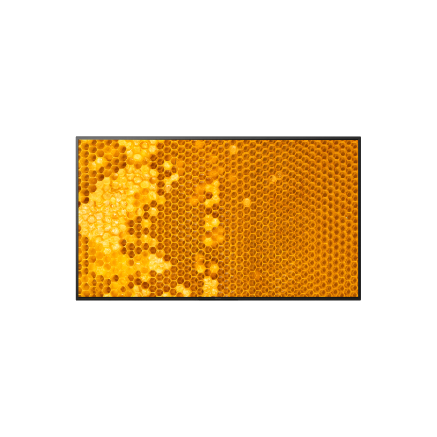 Sony Pro BRAVIA FW-50EZ20L 50" 4K HDR Profesyonel Ekran