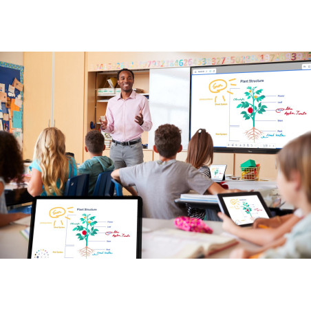 Optoma 3753RK 75" Creative Touch 3 Etkileşimli Akıllı Tahta