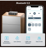 Arylic B50 SE Bluetooth 5.2 Stereo Amplifikatör & Ses Vericili