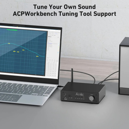 Arylic B50 SE Bluetooth 5.2 Stereo Amplifikatör & Ses Vericili