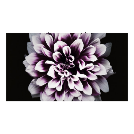 Samsung The Wall LH008IWJMWS/CH 0.84mm MICRO LED Ekran