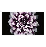Samsung The Wall LH008IWJMWS/CH 0.84mm MICRO LED Ekran