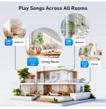 Arylic S10+ Kablosuz WiFi & Bluetooth Müzik Aktarıcı – Streamer