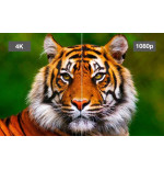 Epson EH-LS12000B 4K Lazer Ev Sineması Projeksiyon