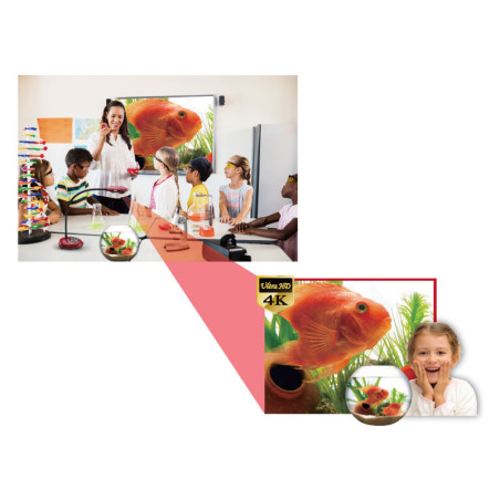 Lumens DC172 4K HDMI Doküman Kamera 13MP