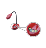 Lumens DC136 4K USB Doküman Kamera