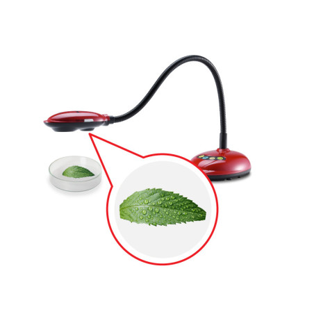 Lumens DC132U 2K USB Doküman Kamera