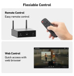 Arylic S50Pro+ Preamfi & aptX HD ESS 9023 DAC Hi-Fi Streamer