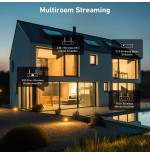 Arylic S50Pro+ Preamfi & aptX HD ESS 9023 DAC Hi-Fi Streamer