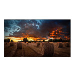 Samsung VM46B-U 46" Videowall Monitör