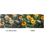 PROScreen TQC2.6 Ultra-İnce P2.6 LED Video Wall